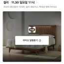 하루라이브