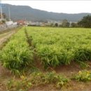 모월보건진료소 이미지