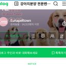 네이버 블로그 강아지 분양 전문 켄넬 은아펫 타운 Eunapettown 분양 호텔 미용 all about puppy 이미지