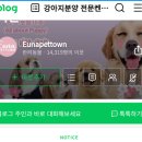 은아 펫 타운 이미지