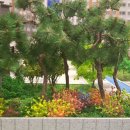 (주)경미양과 이미지
