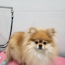조구나리길 네이버블로그