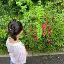 행주산성 제1주차장 화장실 이미지