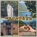숲속집 | 충주 계명산 자연휴양림 뷰가 끝내주는 잣나무집 숲속의 집 후기 바베큐