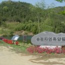 송정자연휴양림 이미지