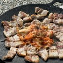 산속에아침 | 연천 산속정원캠핑장 C3 사이트 미즈캠 내돈내산 솔직후기