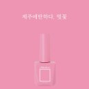 제주에반하다 이미지