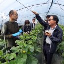 곡성-108 이미지