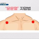 【수태음폐경(手太陰肺經)】 〔 LU2 운문(雲門)〕" 폐의 기운이 드나드는 자리" 이미지