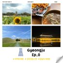UR(경주시)-[경감로]-하-14 | 혼자 경주 여행 당일치기 코스(야경 유적지 투어&amp;황리단길)