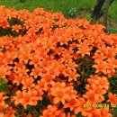 성경농장 이미지