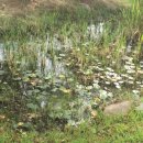 영등포여자고등학교 이미지