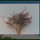 산청금서관광지 이미지