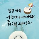 아리솔태권도 이미지