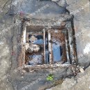 평화로 43번길 이미지