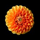 가천초등학교병설유치원 이미지