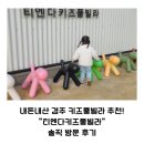 내돈내산 경주 키즈풀빌라 추천! &#34;티엔다키즈풀빌라&#34; 솔직 방문 후기