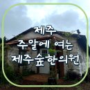 숲한의원 | 주말에, 일요일에 여는 제주도 한의원(교통사고 트라우마, 체질개선) 제주숲한의원 방문 후기