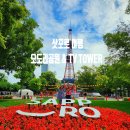 홋카이도 삿포로 여행 오도리공원 & <b>테레비</b> 타워 (SAPPORO <b>TV</b> TOWER)