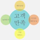 와이엔에스