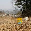 남촌주유소 이미지