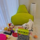 포포퍼피 이미지