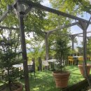 아나벨레스토랑 이미지