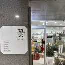 젤라플레르