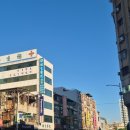 거북이네 | 대만🇹🇼4일차 (소류구)