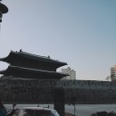 보물나라 - 창원시 마산합포구 완월남1길 16 | 보물나라