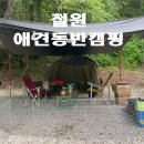 철원 애견 이미지