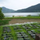 함평종합관광안내소 이미지