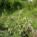 심호당한의원 이미지