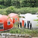 여울 - 고성군 성내로 149-15 | 여울