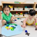 양우내안애3차 더 센트럴 아파트 어린이집앞 유아놀이터 | 용인 고림동어린이집 숲 활동 시립고진더센트럴어린이집