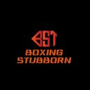 팀 복싱 스터번 아양지구점 이미지