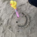 [Trip]동해 어달리 개뿌시고 온 후기