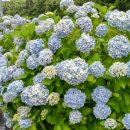 아침노을펜션 이미지