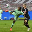 스콜피온 이미지