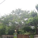 중앙동110 이미지