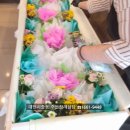 성심요양병원 | 대전갈마성심장례식장(갈마동) 대전시립납골당으로 모실 때까지 빠짐없는 후불장례지원