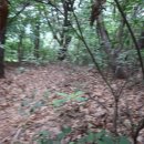 아랫말농장 이미지