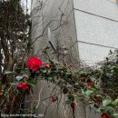 제주목 관아 | 제주목 관아 ㅣ 제주시 투어 도심 속 제주 여행하기