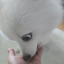 GS25청도점 네이버블로그
