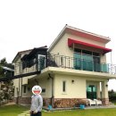 로젤 147 이미지