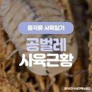 나카펫