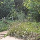 몽마르뜨공원 이미지