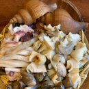 인하선생 | 강릉이자카야 인하선생 두번째 방문후기