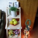 싱싱무도장 이미지