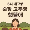 6시내고향 순창 고추장 노니고추장 순창햇뜰애 가격, 예약 및 주차, 스마트스토어, 택배
